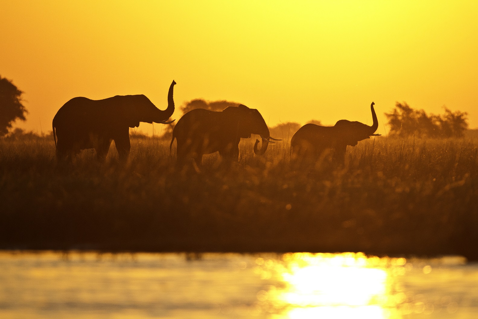 15676823760River-safari-Chobe-Namibia-Mozsensations