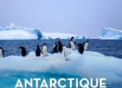 Croisière Antarctique